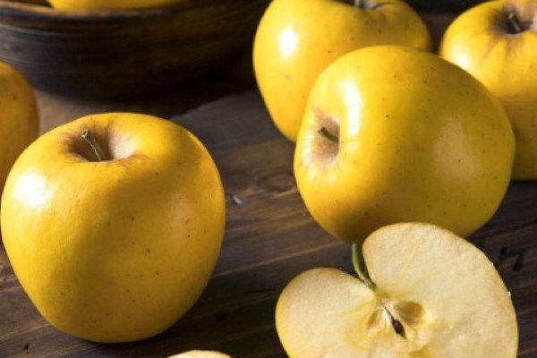 تصویر 3 از خرید سیب زرد ترش + قیمت فروش استثنایی
